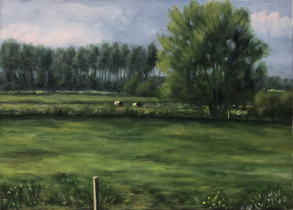 Plein air oil study on board